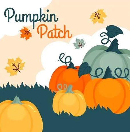 PTA Pumpkin Patch image